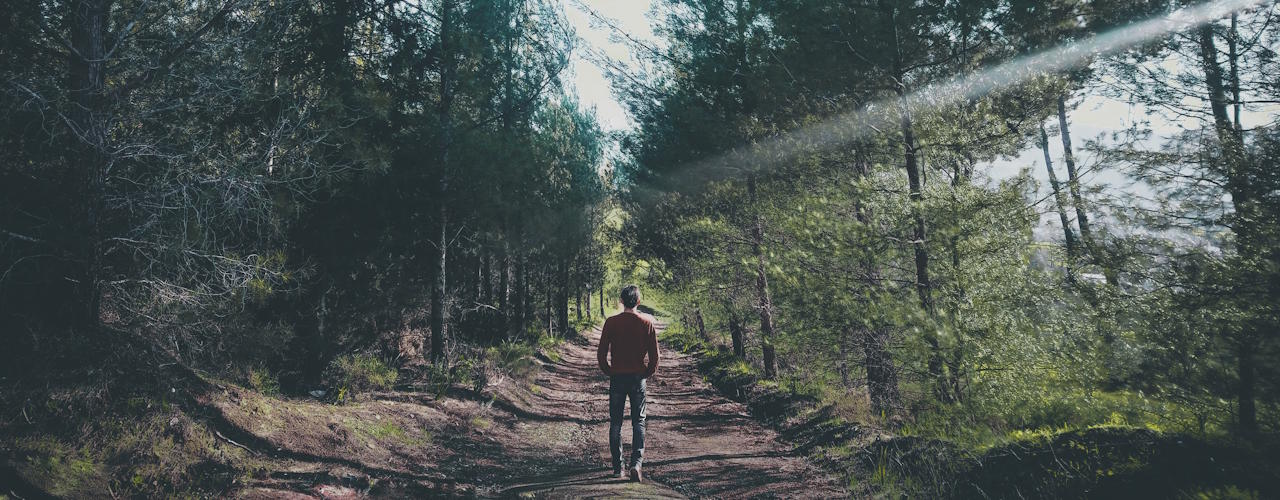 Local therapy and counseling support options in the United States